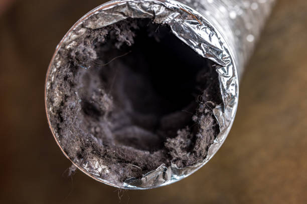 Best Air Duct Cleaning Near Me  in Lorenzo, TX